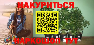 гидра Рязань