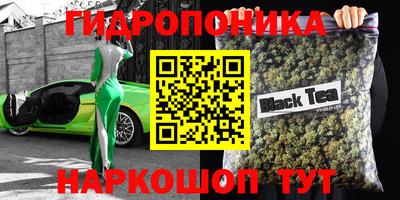 прущие грибы Пугачёв