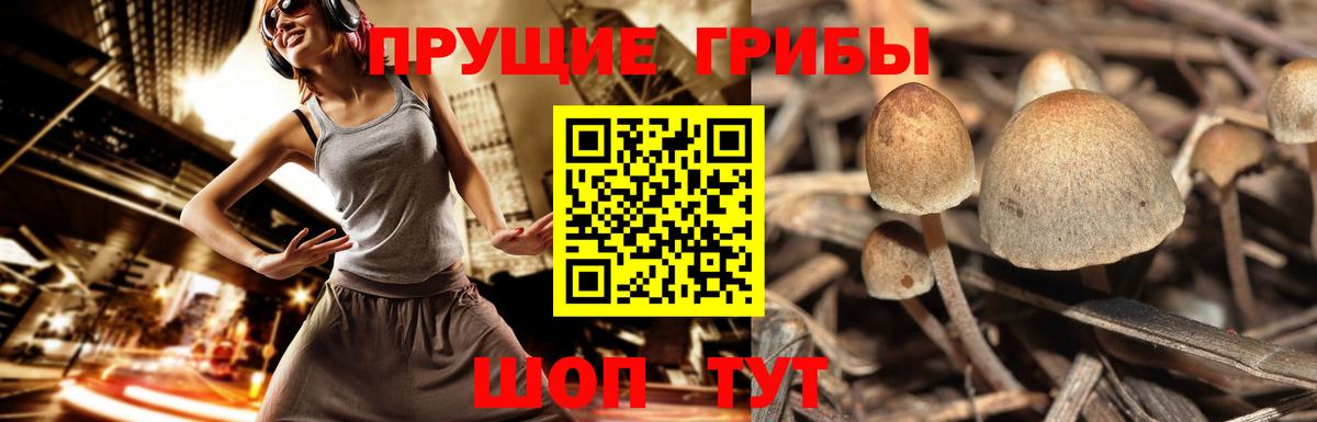 Галлюциногенные грибы мухоморы  Вход с VPN  Псилоцибиновые грибы мухоморы  наркота  Ярославль 