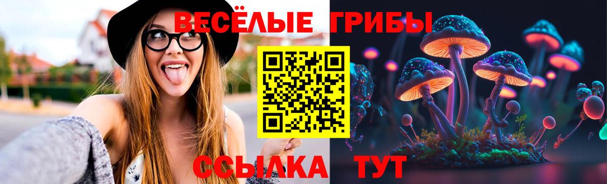 Псилоцибиновые грибы Cubensis Ярославль